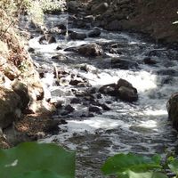R&iacute;o sufriente: El Rio Segundo con aguas negras sin tratamiento